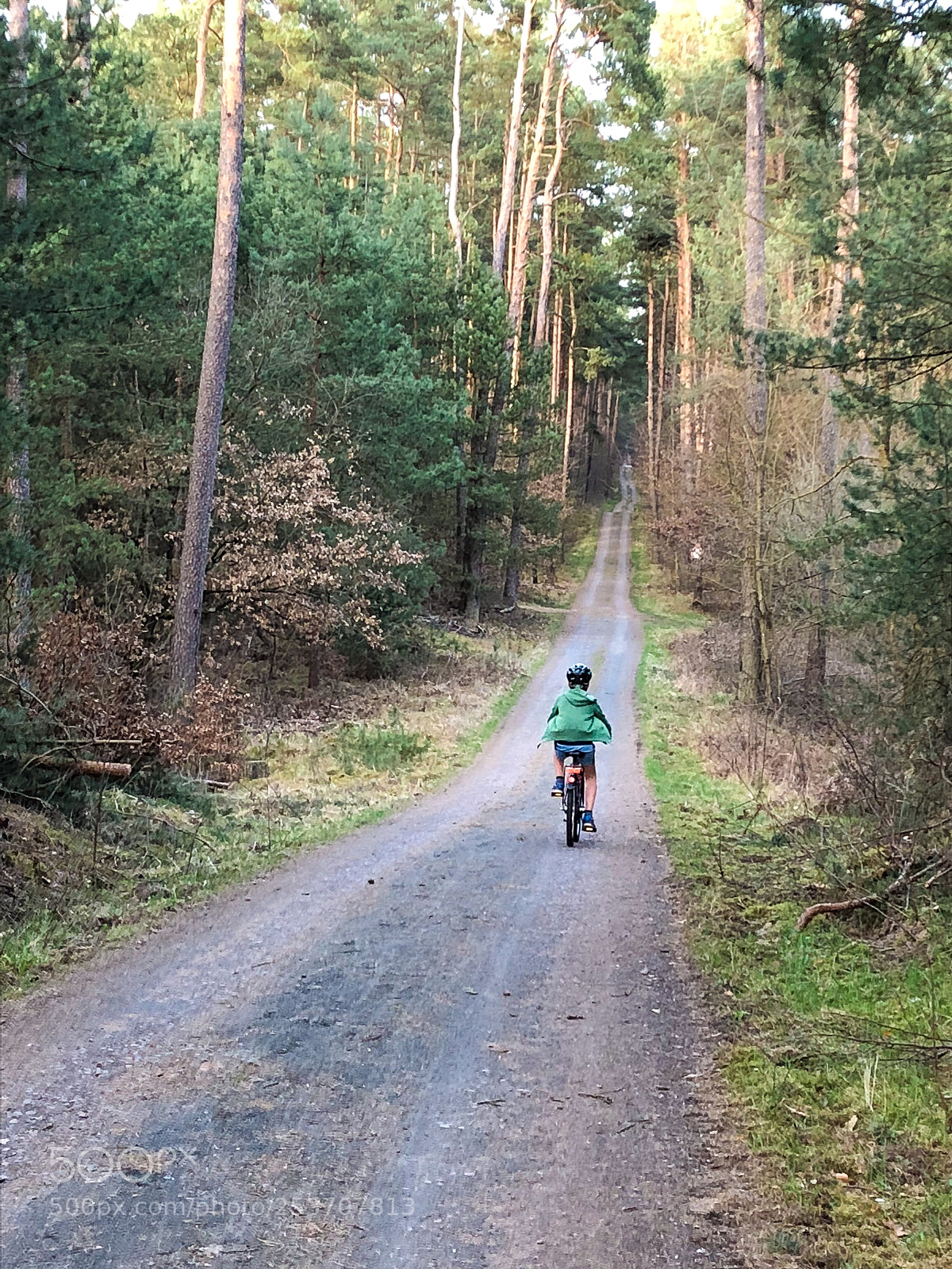 Apple iPhone 8 sample photo. Forest road photography