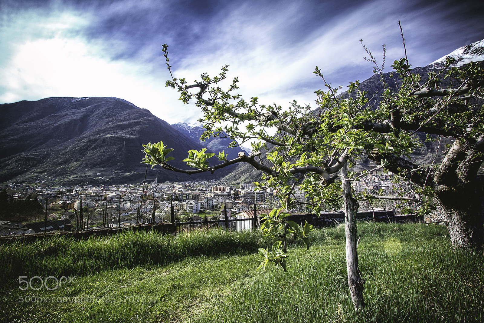 Canon EOS 80D sample photo. Tirano from above photography