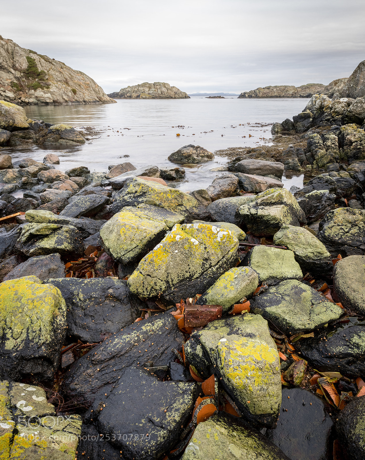 Canon EOS 5D Mark IV sample photo. Rocks covered in lichen photography