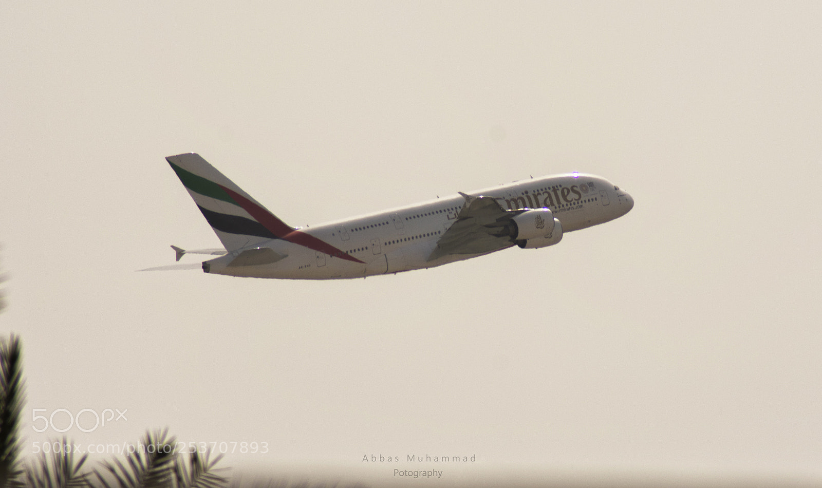 Nikon D3400 sample photo. 534 souls depart! photography