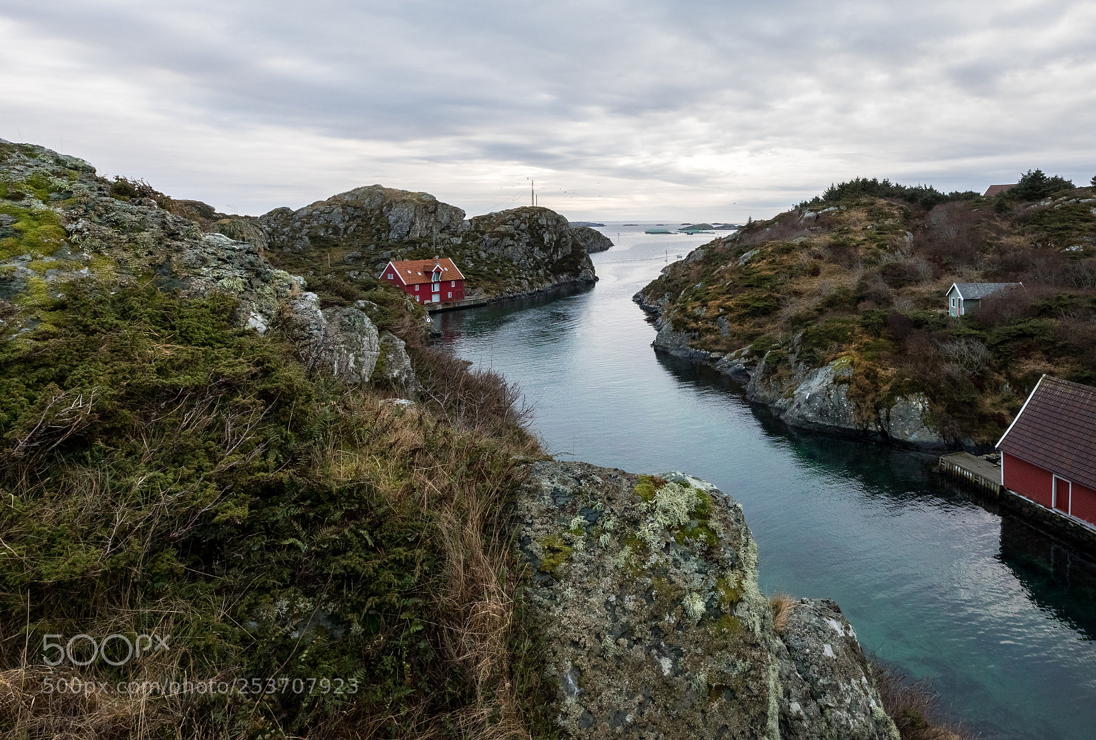 Canon EOS 5D Mark IV sample photo. Rovaer in haugesund, norway photography
