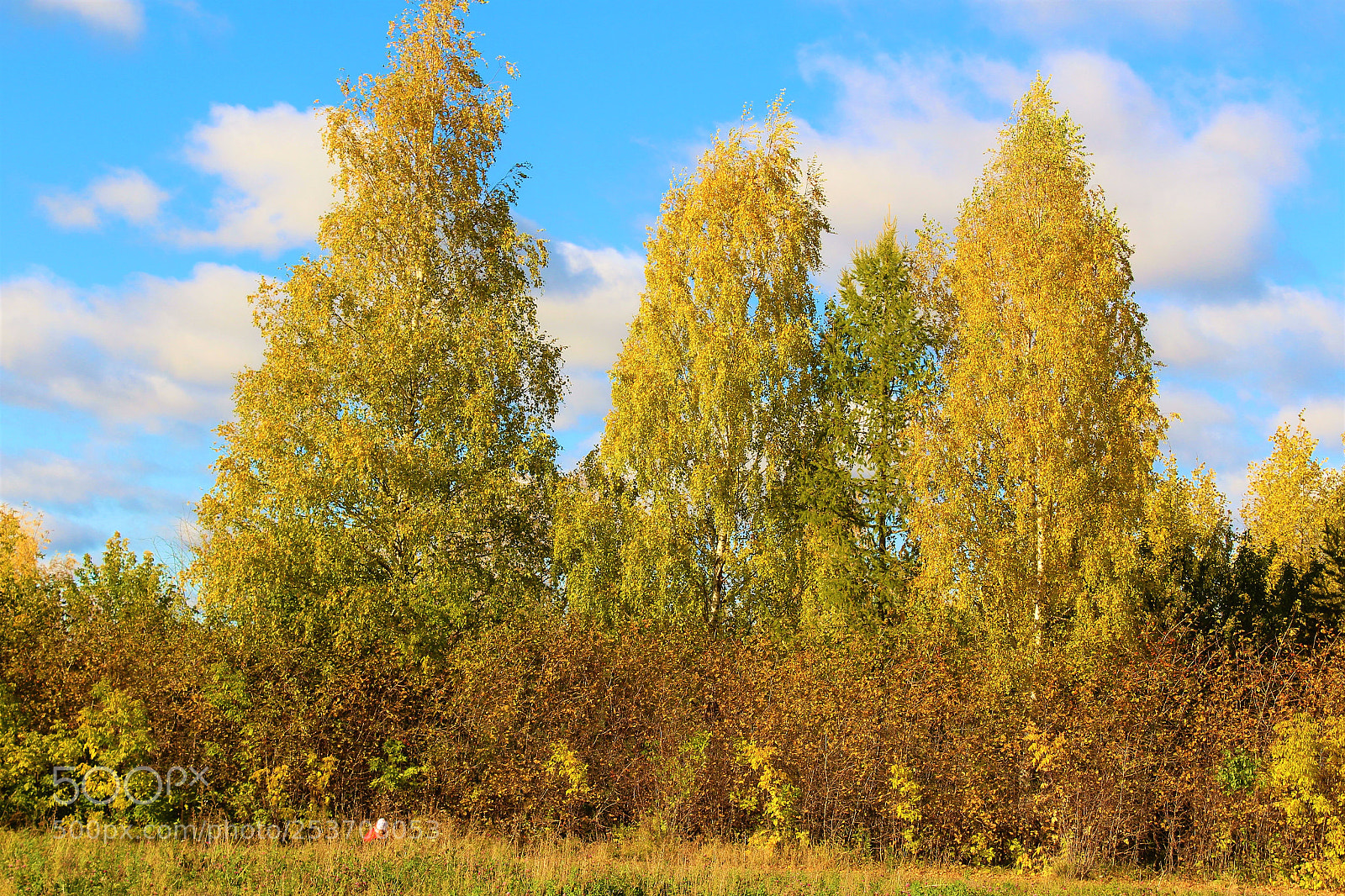 Canon EOS 1300D (EOS Rebel T6 / EOS Kiss X80) sample photo. Idyllic autumn in kirov photography
