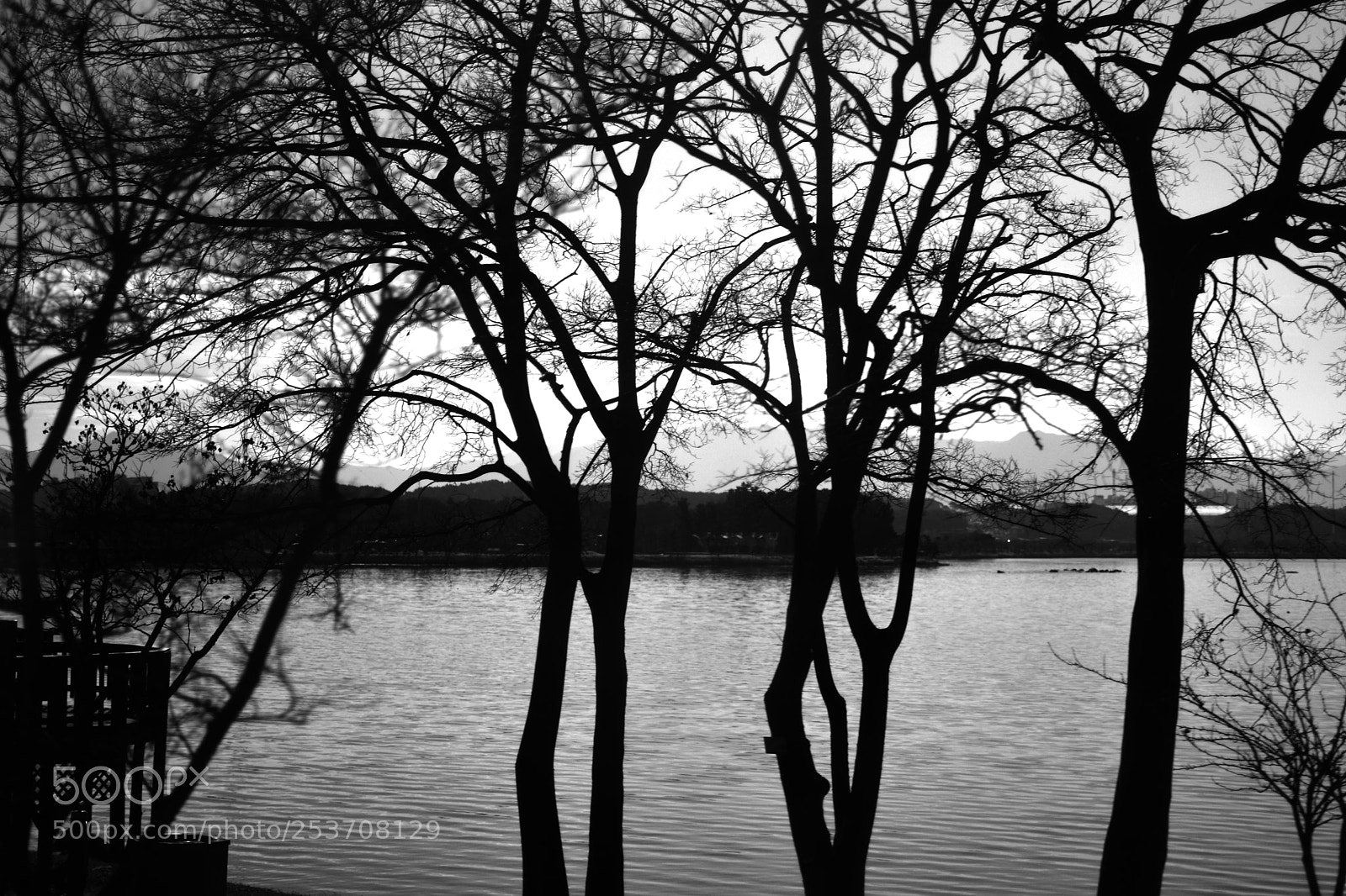 Nikon D5500 sample photo. Woods and lake, black photography