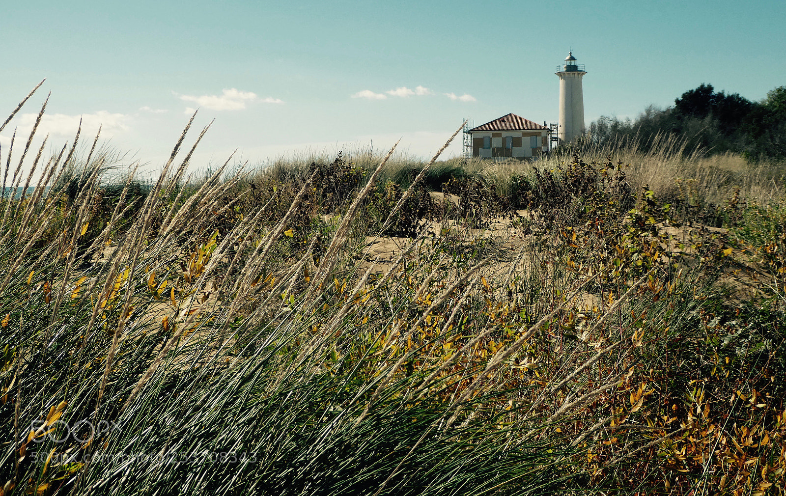 Panasonic DMC-TZ81 sample photo. Lighthouse photography