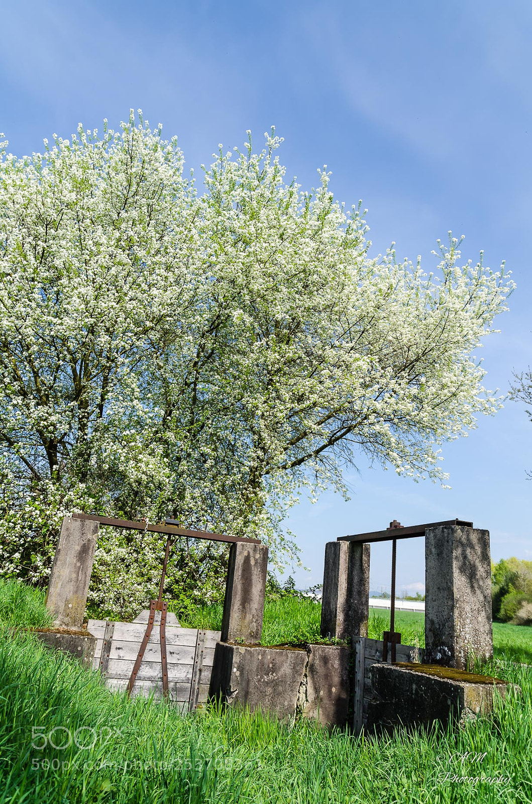 Nikon D5100 sample photo. Schleusen photography