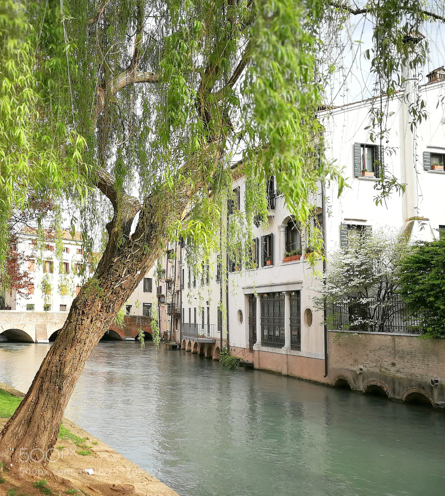 HUAWEI P10 sample photo. Treviso il 15 aprile photography