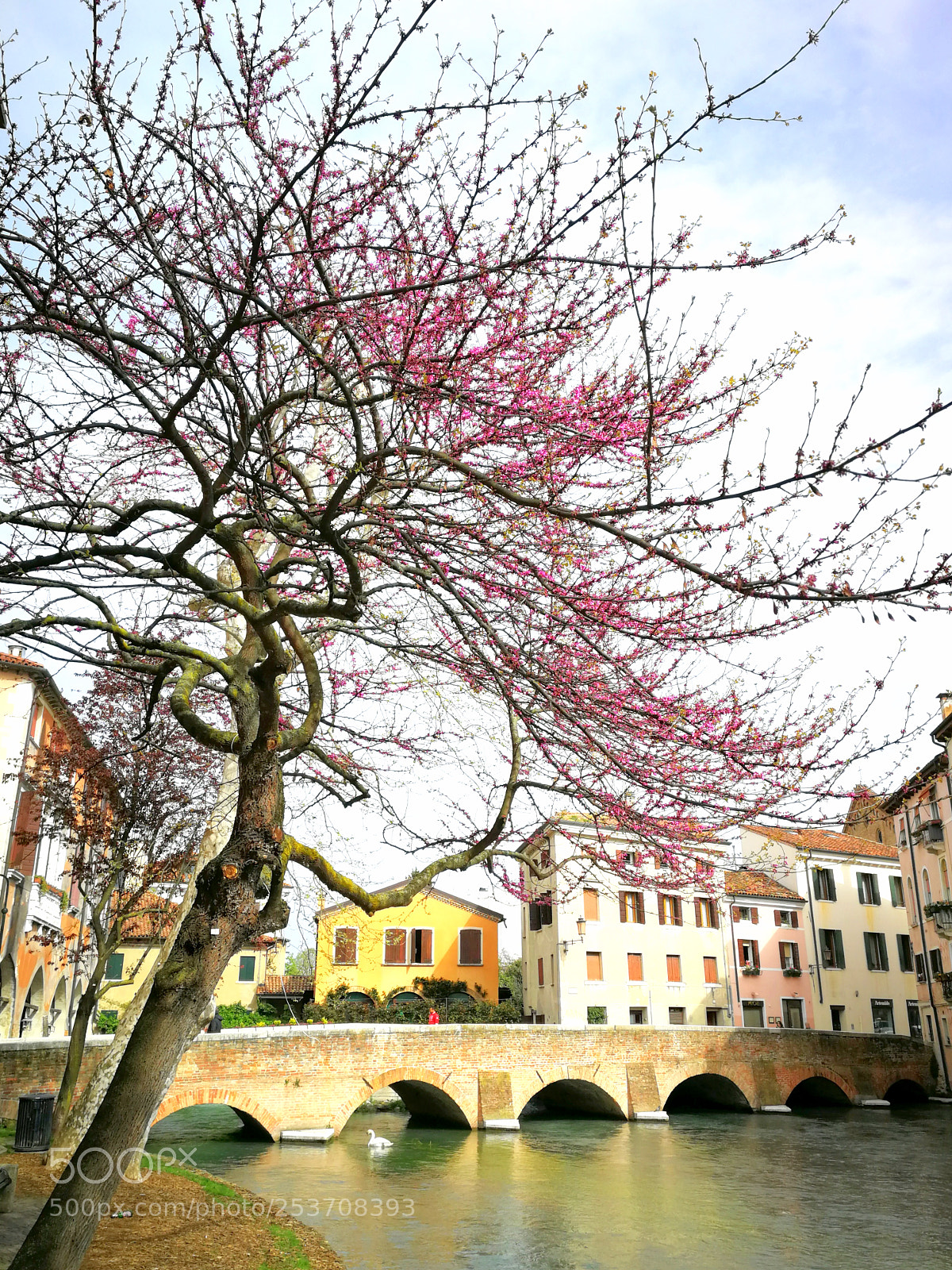 HUAWEI P10 sample photo. Treviso il 15 aprile photography
