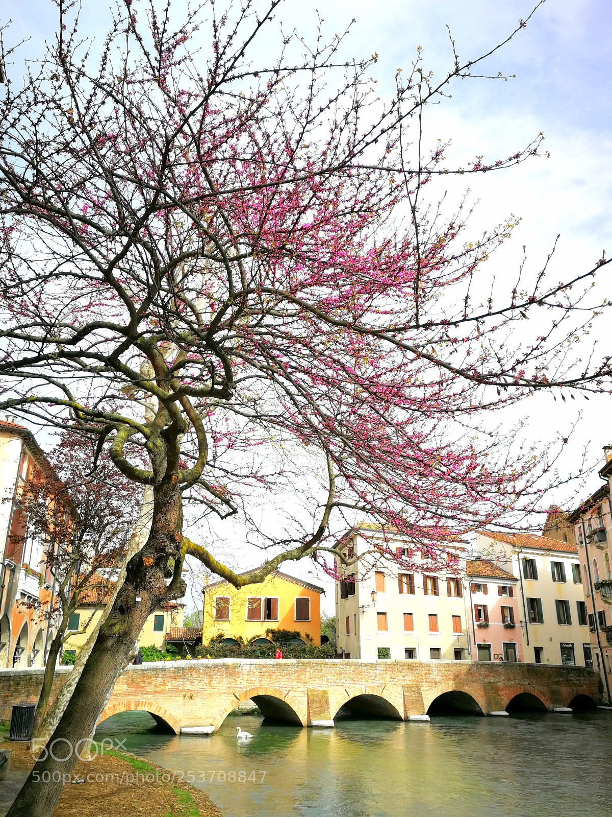 HUAWEI P10 sample photo. Ciro fotografico in citta' photography