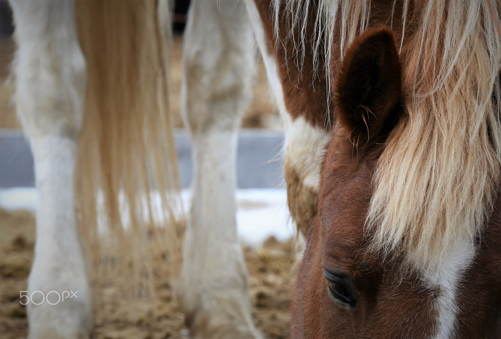 Nikon D500 sample photo. Choices photography