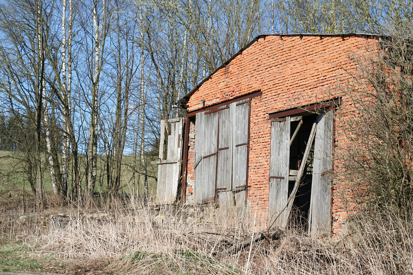 Canon EOS 350D (EOS Digital Rebel XT / EOS Kiss Digital N) sample photo. Old cowshed falling apart. photography