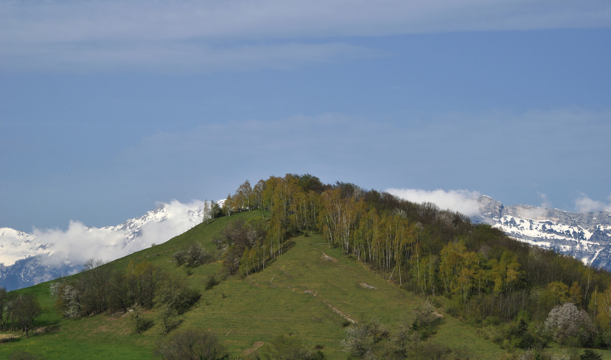 Nikon D5300 sample photo. Winter behind spring.. photography