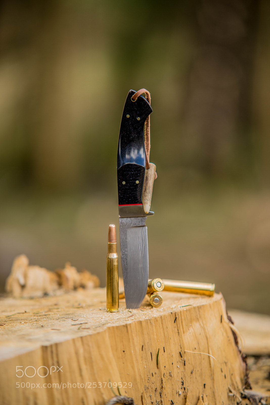 Sony a7R sample photo. Hunting photography