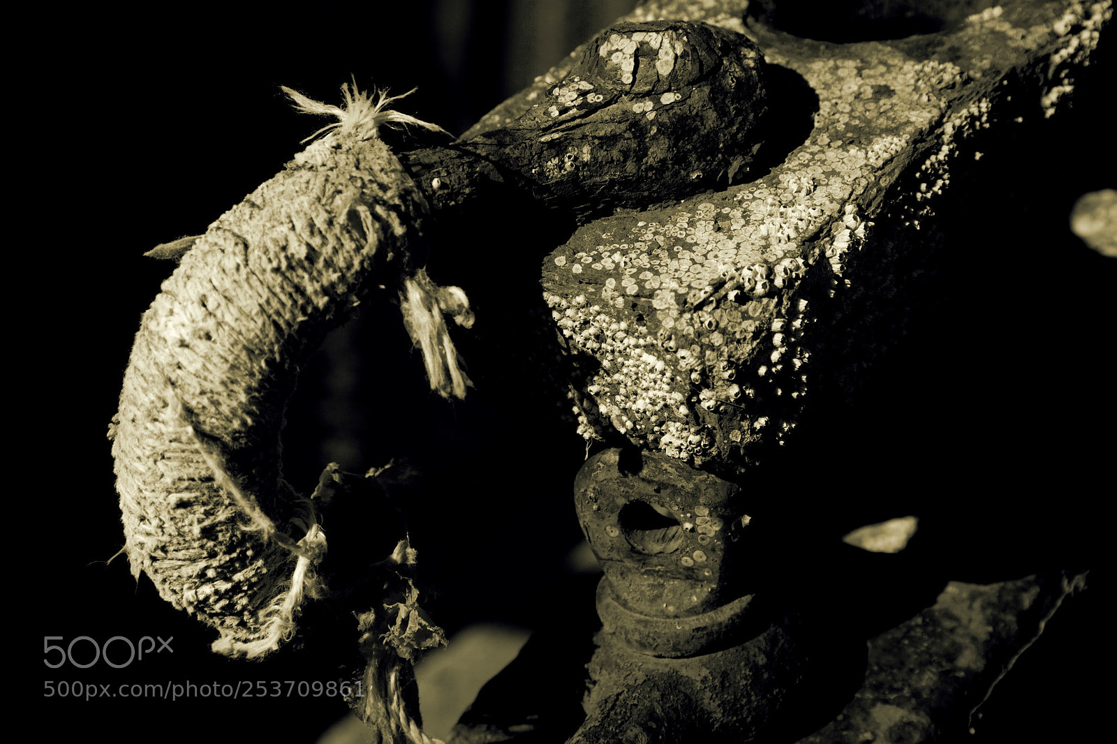 Canon EOS 5D Mark II sample photo. Anchor shackle photography