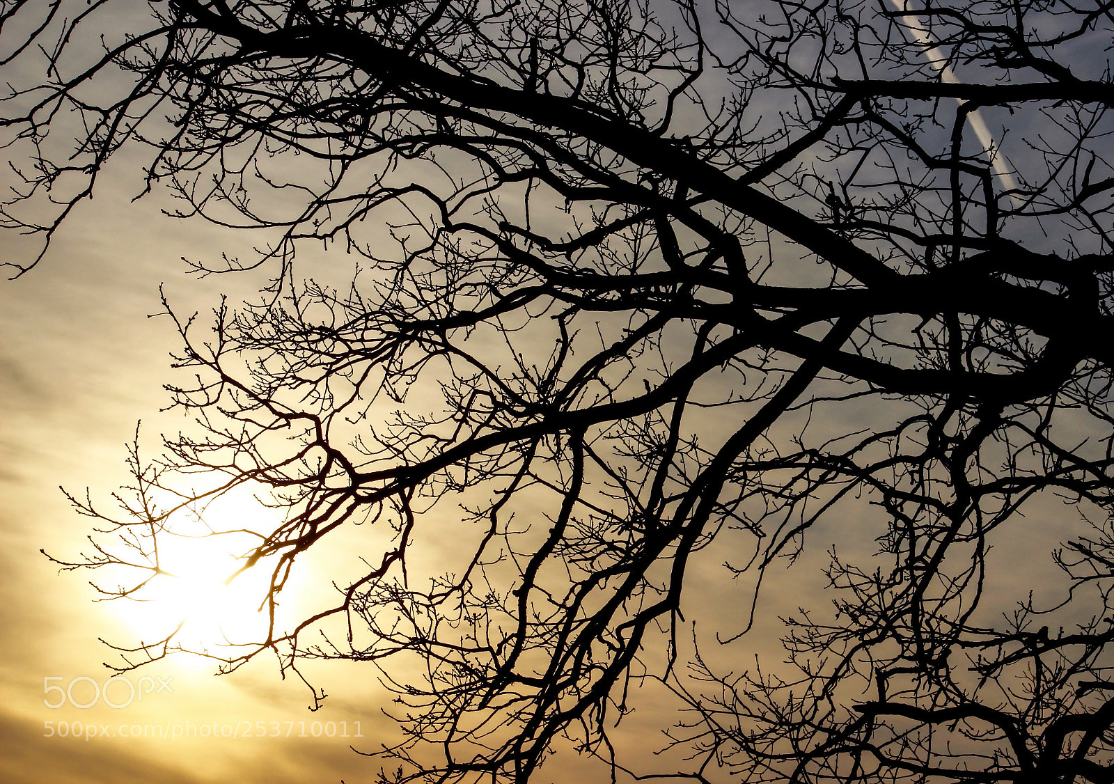 Canon EOS 600D (Rebel EOS T3i / EOS Kiss X5) sample photo. Sunset and trail photography