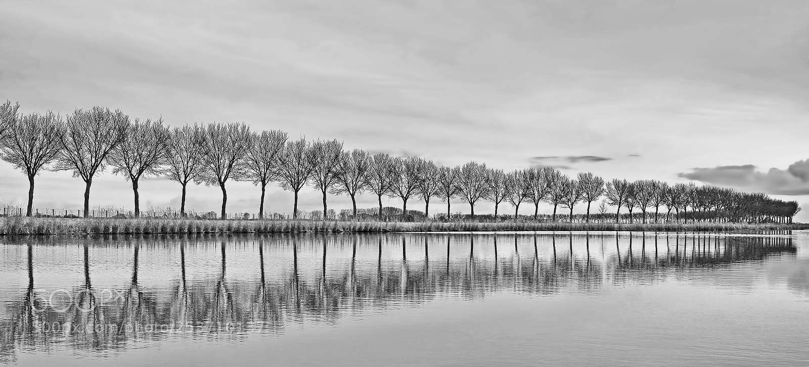 Canon EOS 60D sample photo. An endless row of photography