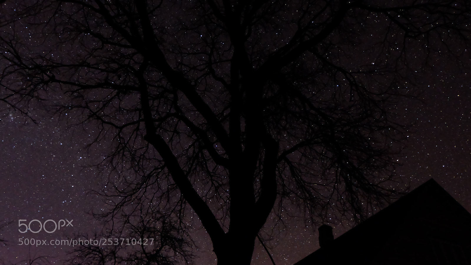 Fujifilm X-A1 sample photo. Something dark dark side photography