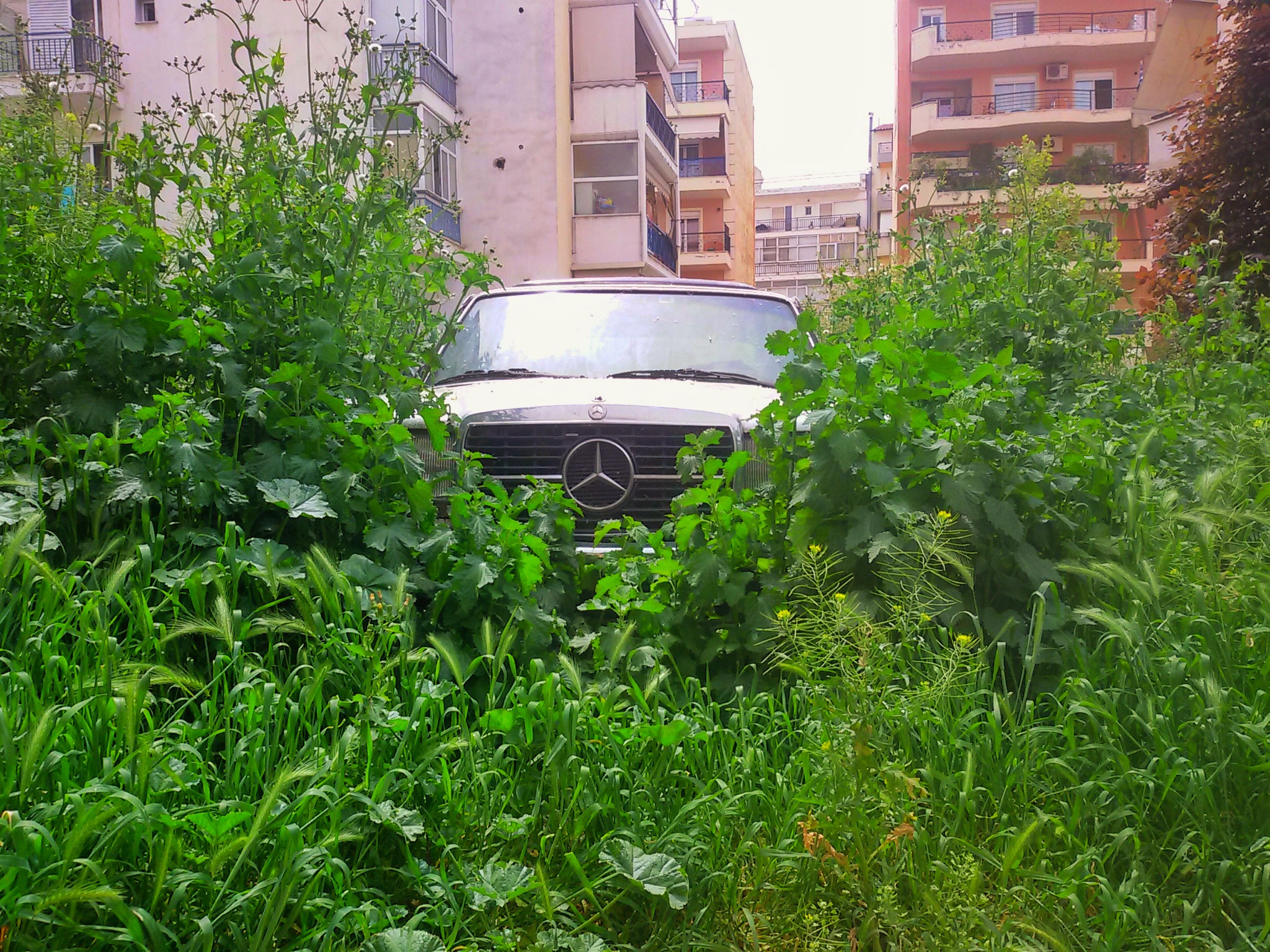 Samsung Galaxy S3 Neo sample photo. Car in the jungle photography