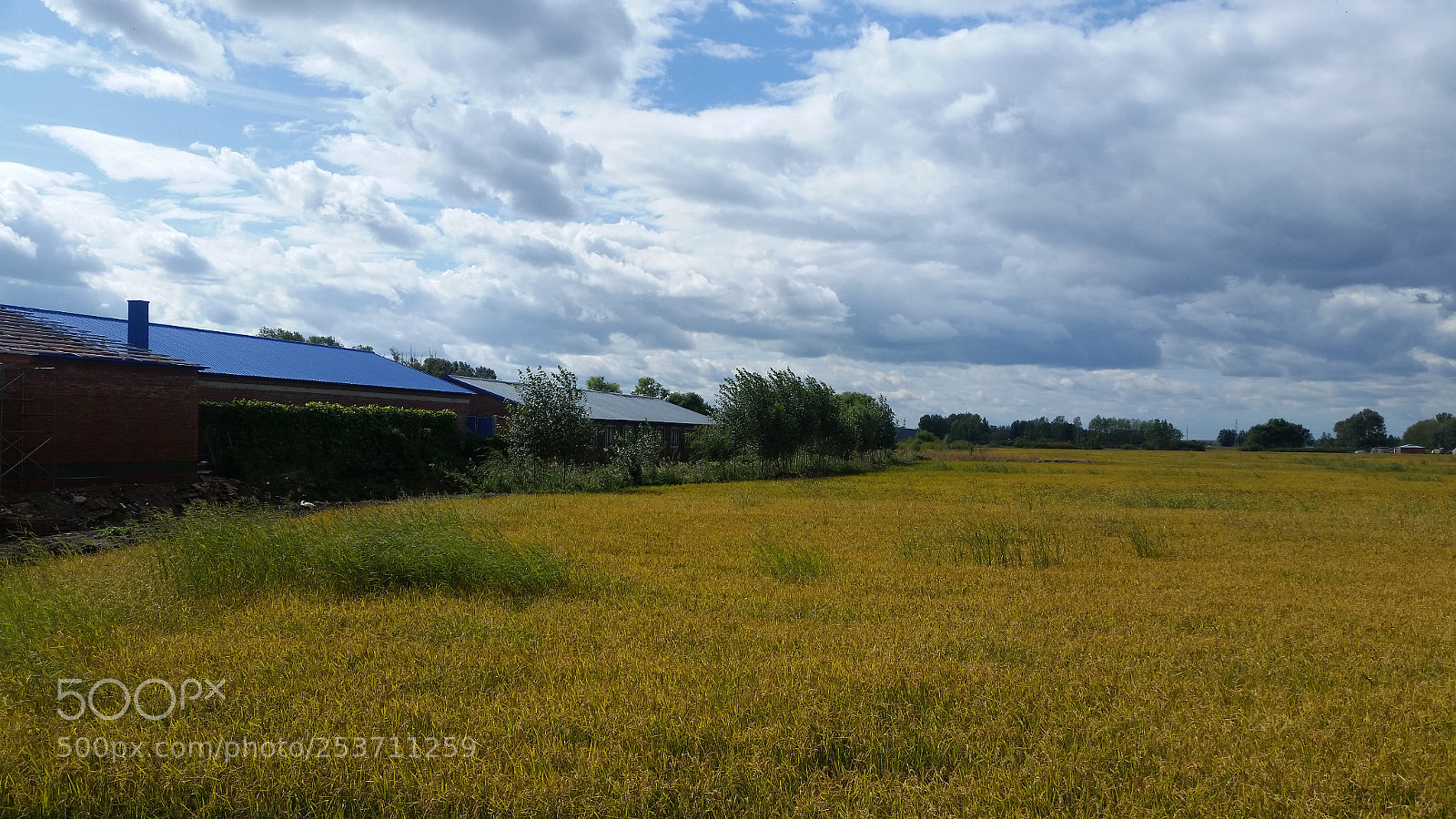 Samsung Galaxy S5 sample photo. Untitled photography