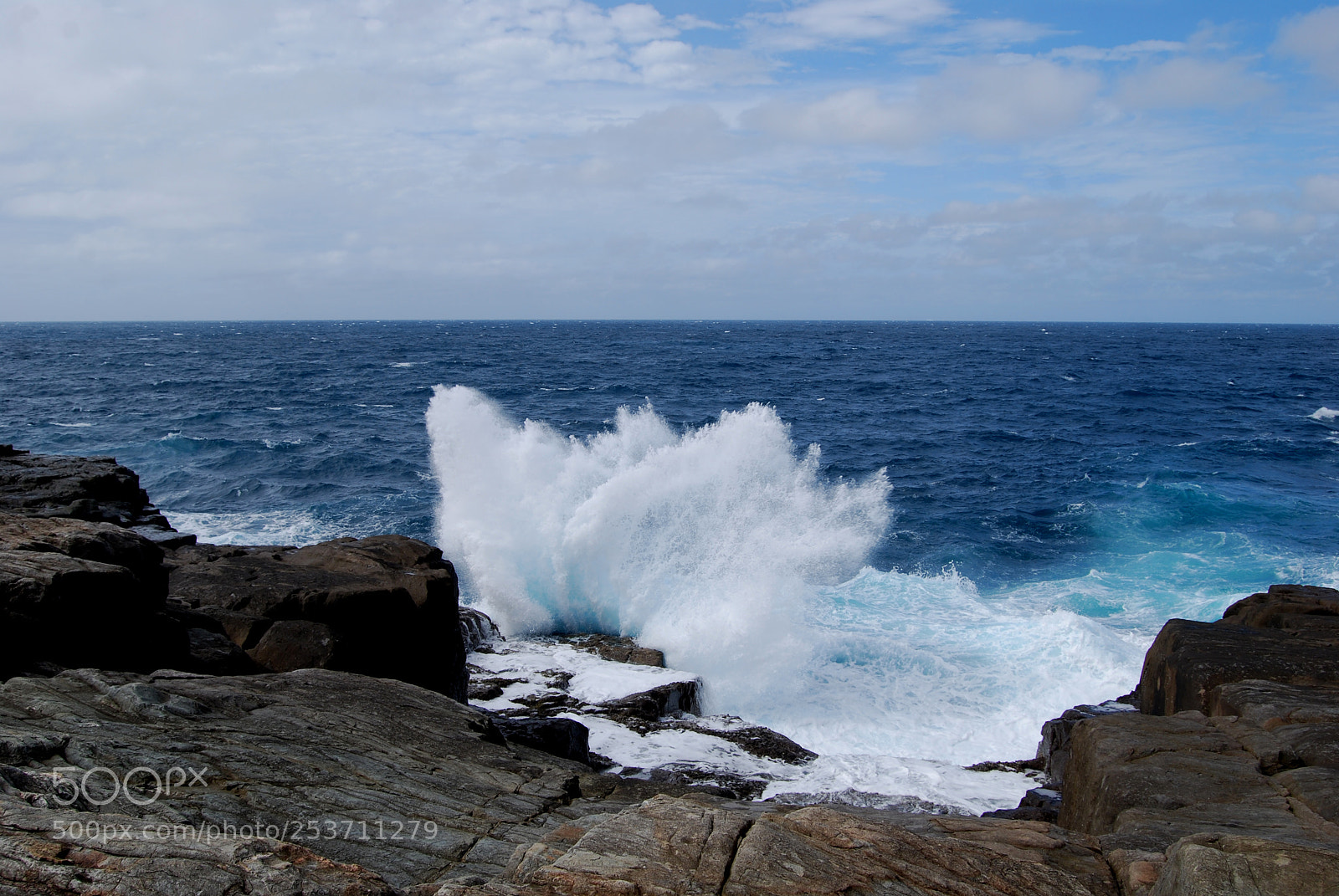 Nikon D40X sample photo. Whoosh photography