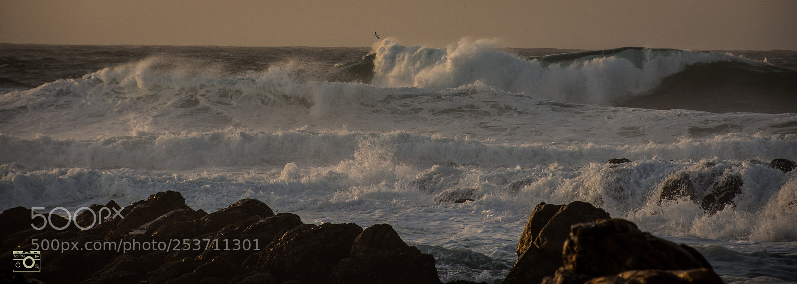 Nikon D7200 sample photo. Incoming photography