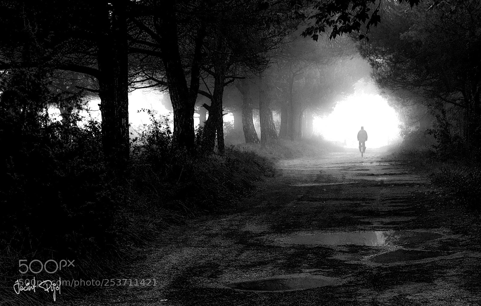 Sony Cyber-shot DSC-RX10 sample photo. Cami del montmany photography