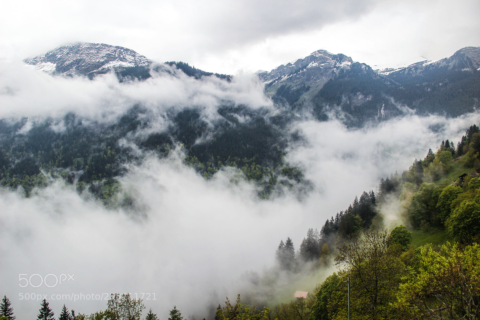 Canon EOS 600D (Rebel EOS T3i / EOS Kiss X5) sample photo. The mystical mornings photography