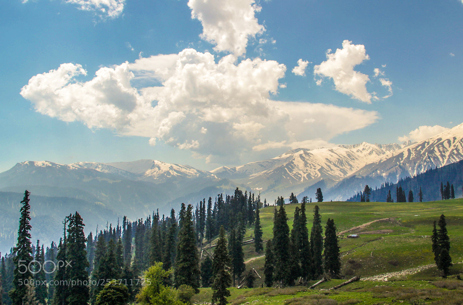 Canon EOS 600D (Rebel EOS T3i / EOS Kiss X5) sample photo. Kashmiri meadows photography
