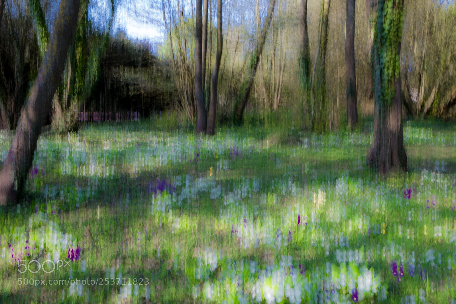 Fujifilm X-T20 sample photo. Undergrowth photography