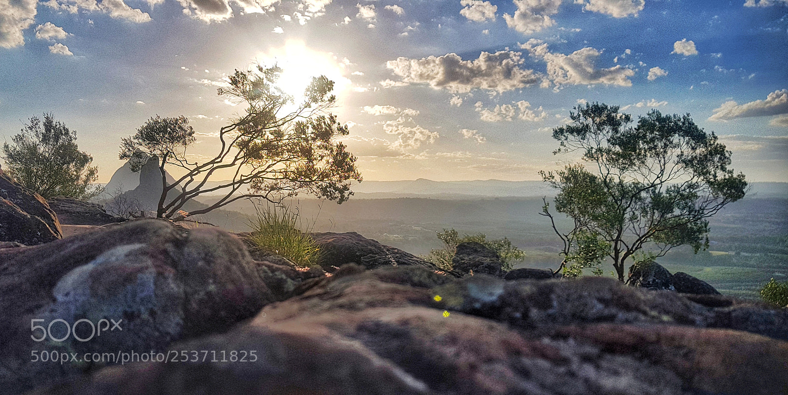 Samsung Galaxy S8+ sample photo. Untitled photography
