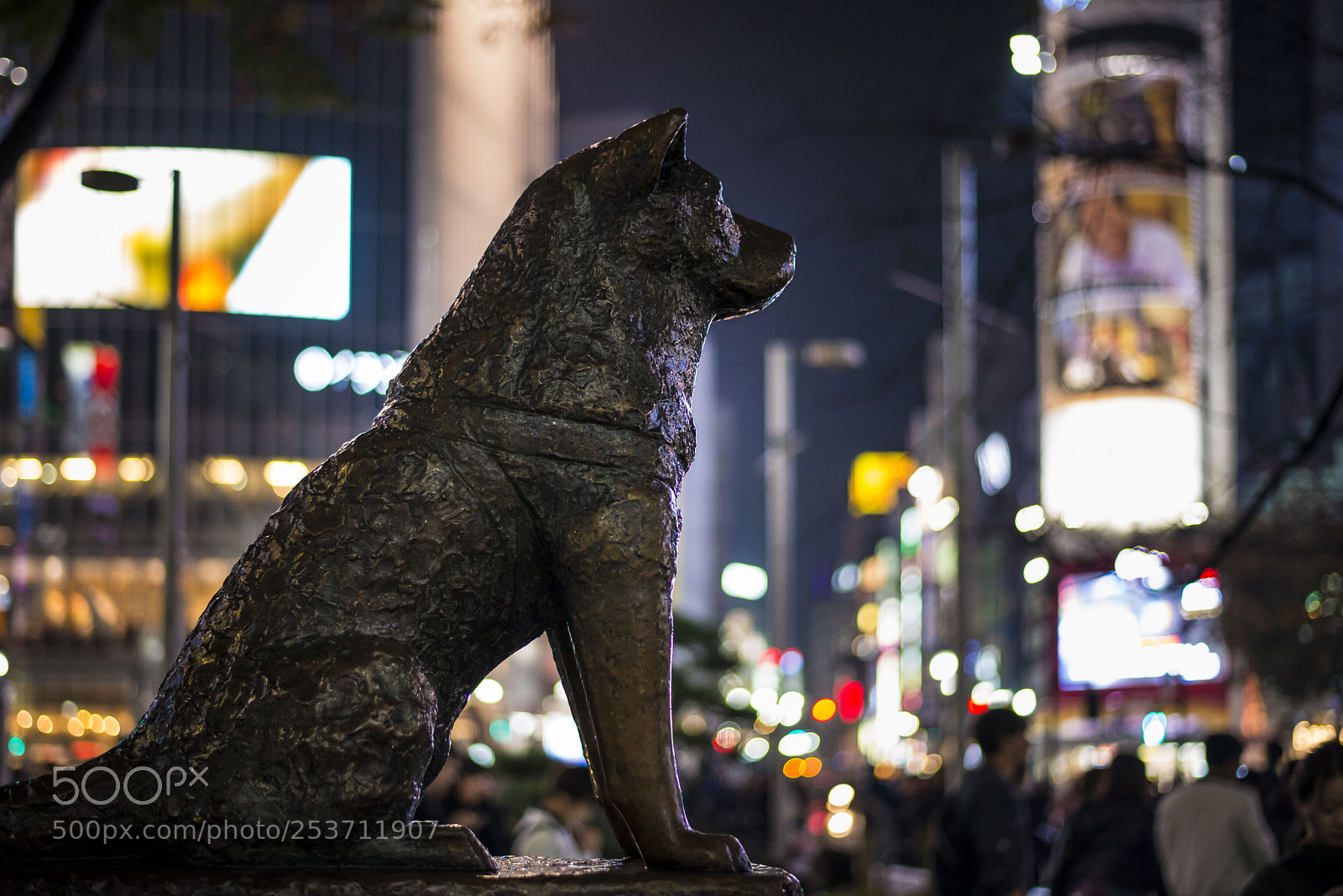 Nikon D610 sample photo. Tokyo nights photography
