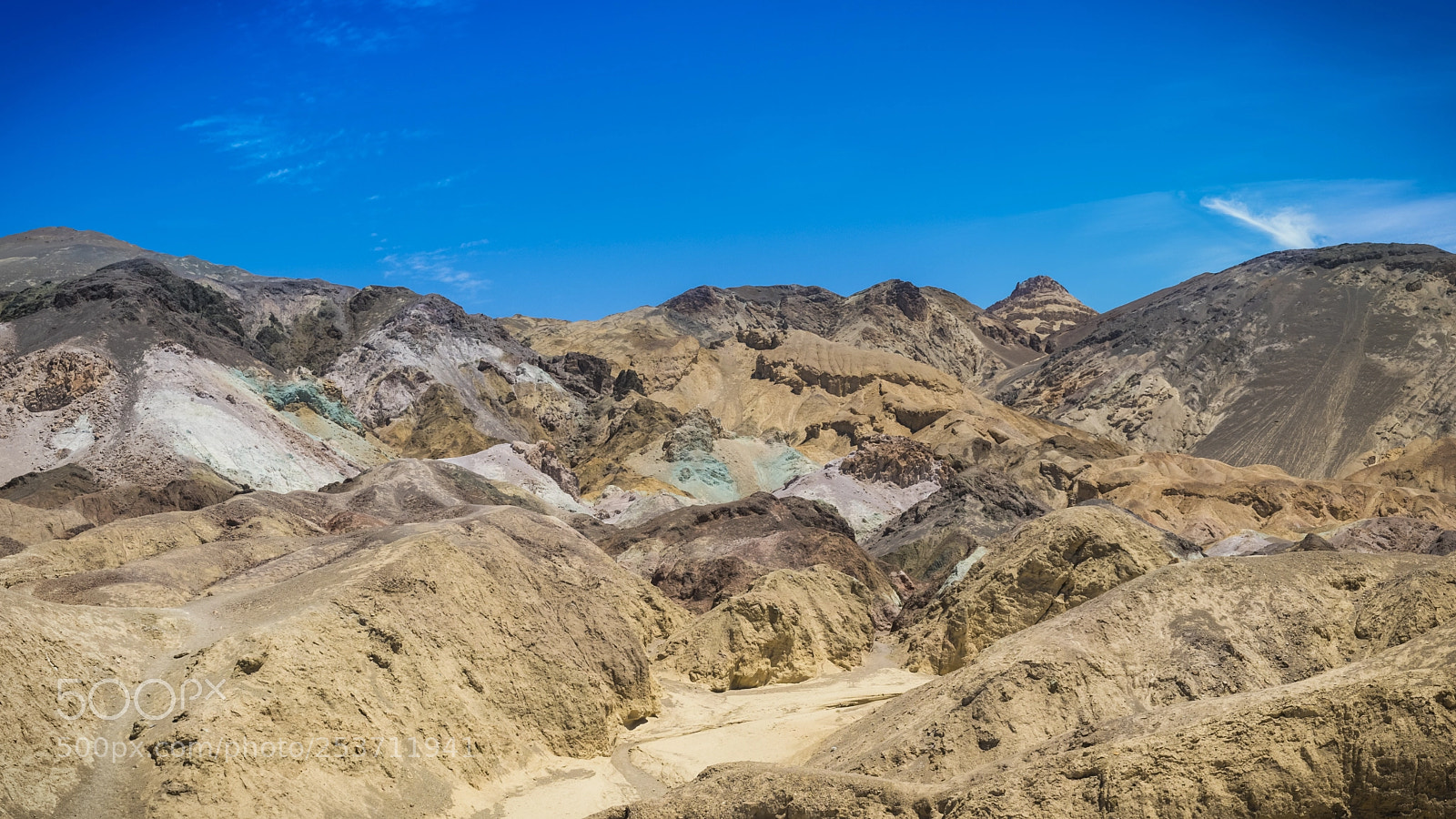 Nikon D810 sample photo. Artist's palette photography