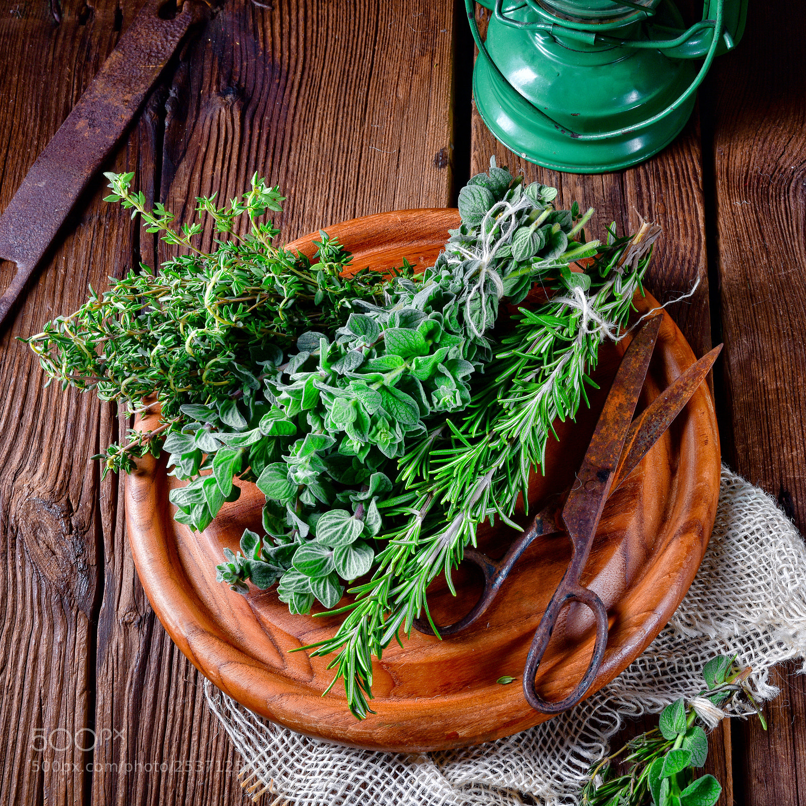 Nikon D810 sample photo. Herbal collection of thyme,oregano photography