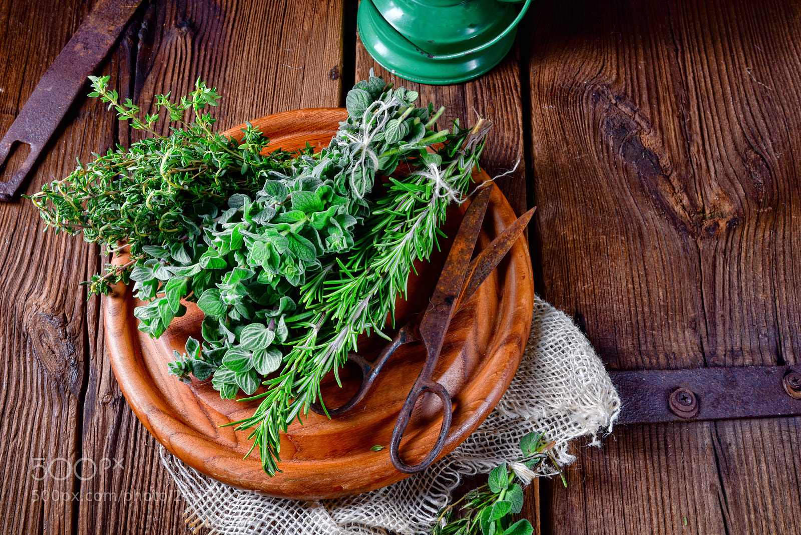Nikon D810 sample photo. Herbal collection of thyme,oregano photography