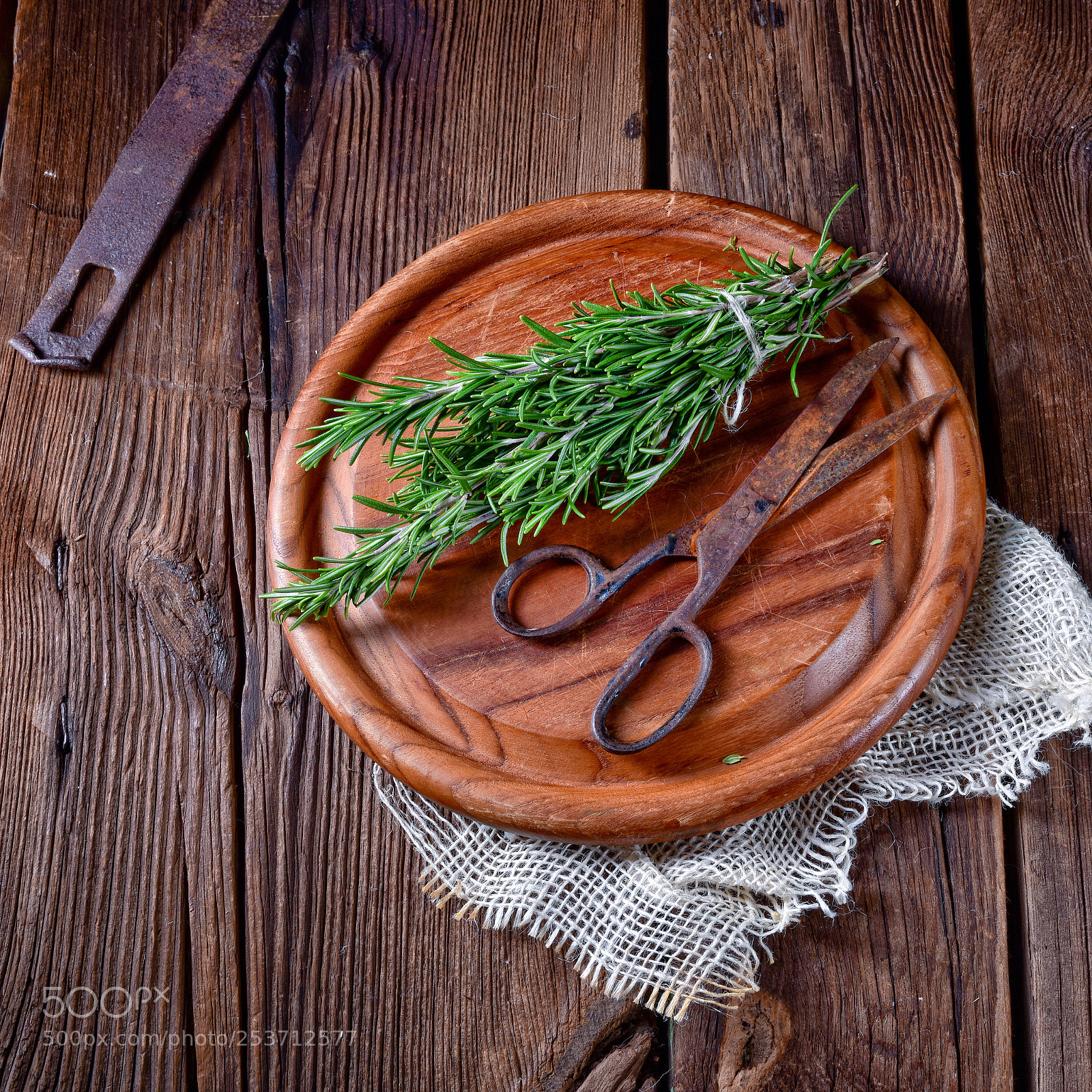 Nikon D810 sample photo. Rosmarin (rosmarinus officinalis) photography