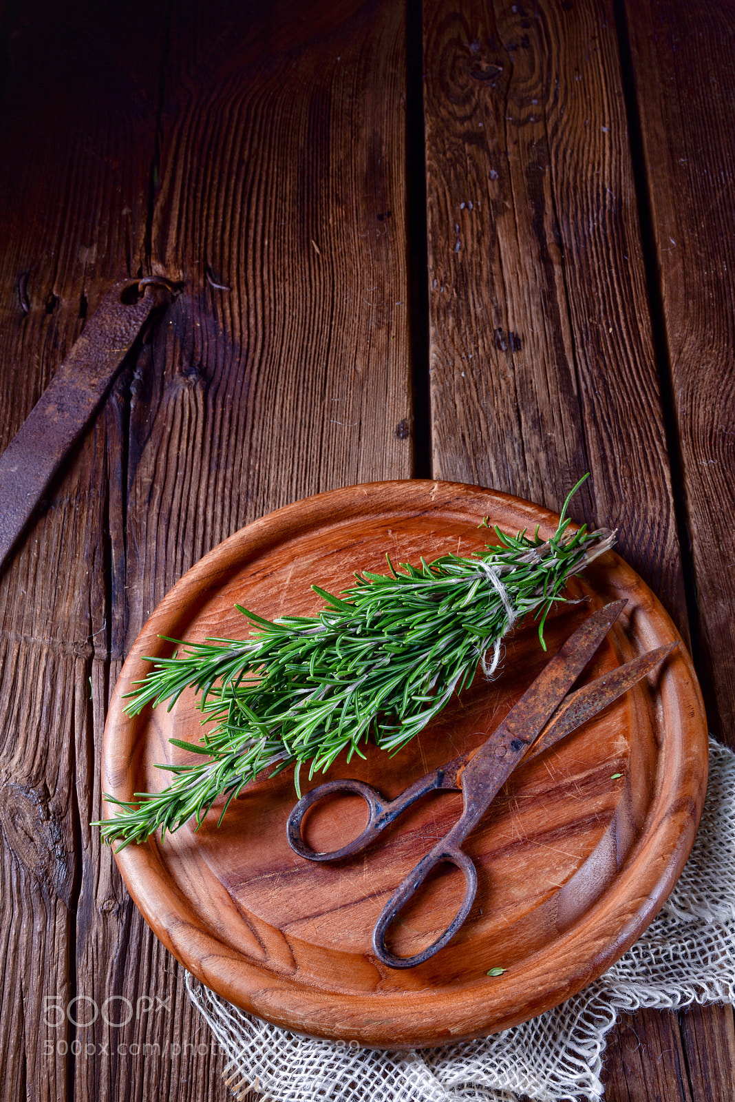 Nikon D810 sample photo. Rosmarin (rosmarinus officinalis) photography