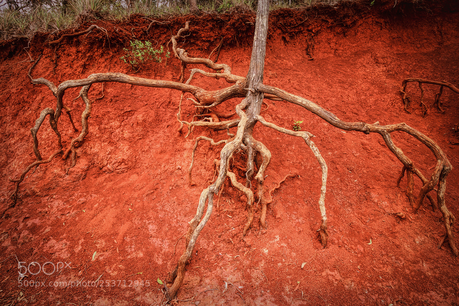 Canon EOS 70D sample photo. Eroded photography