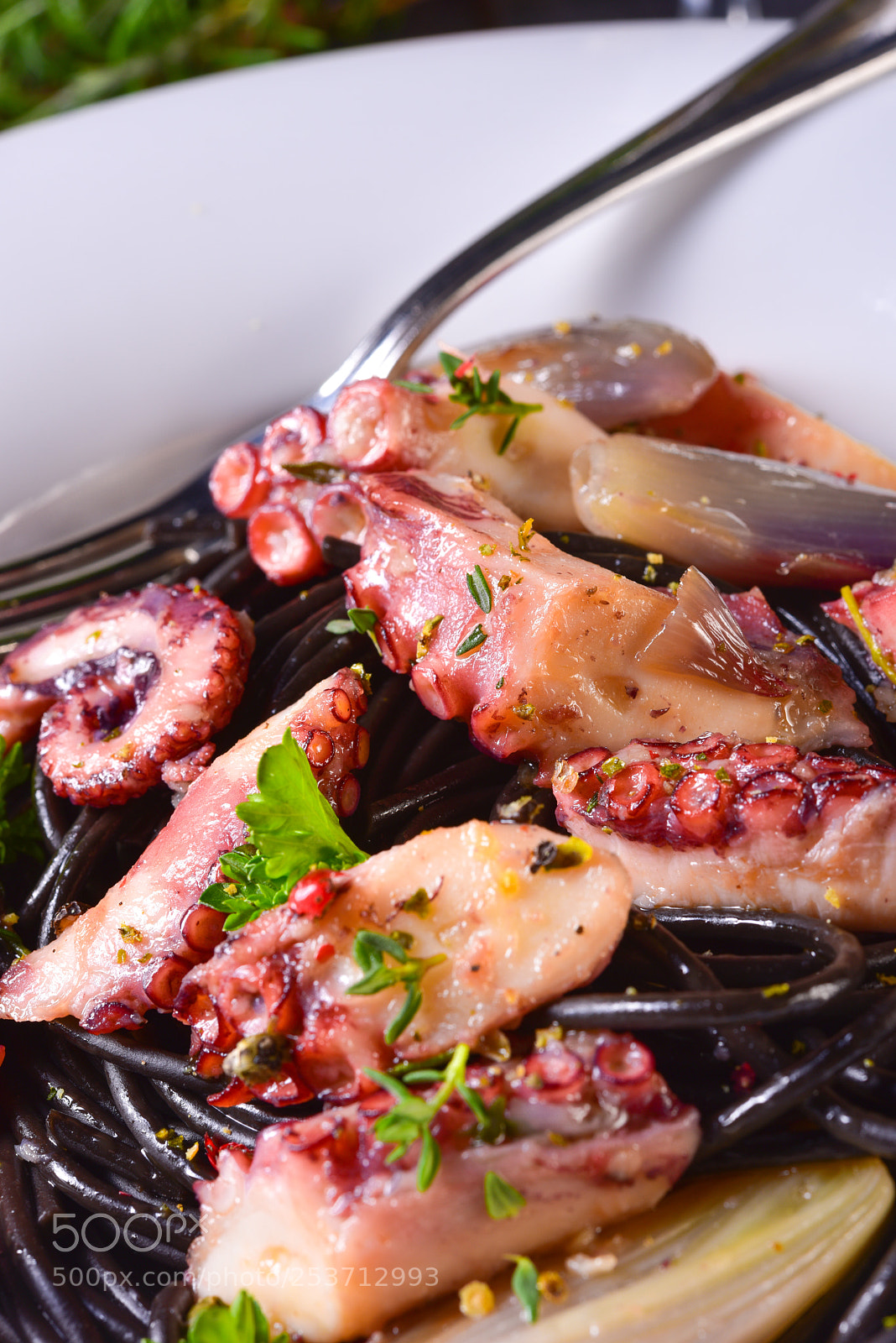 Nikon D810 sample photo. Octopus with black spaghetti photography