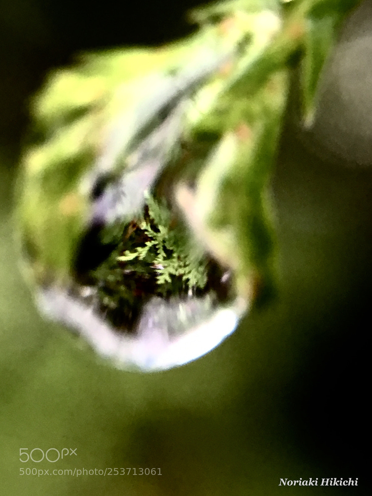 Apple iPhone 6s sample photo. Untitled photography