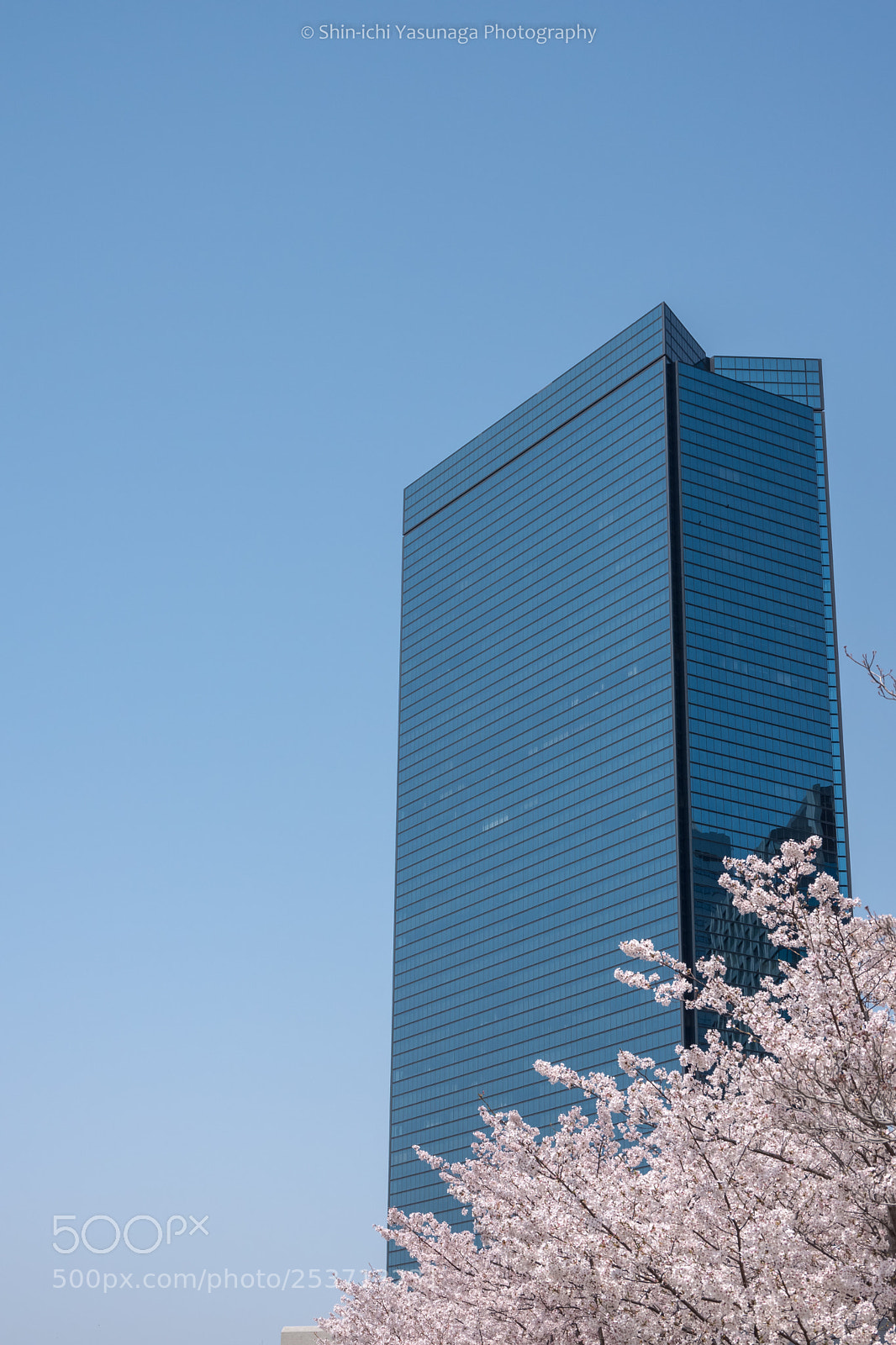 Pentax K-70 sample photo. Cherry,tower,sky! photography