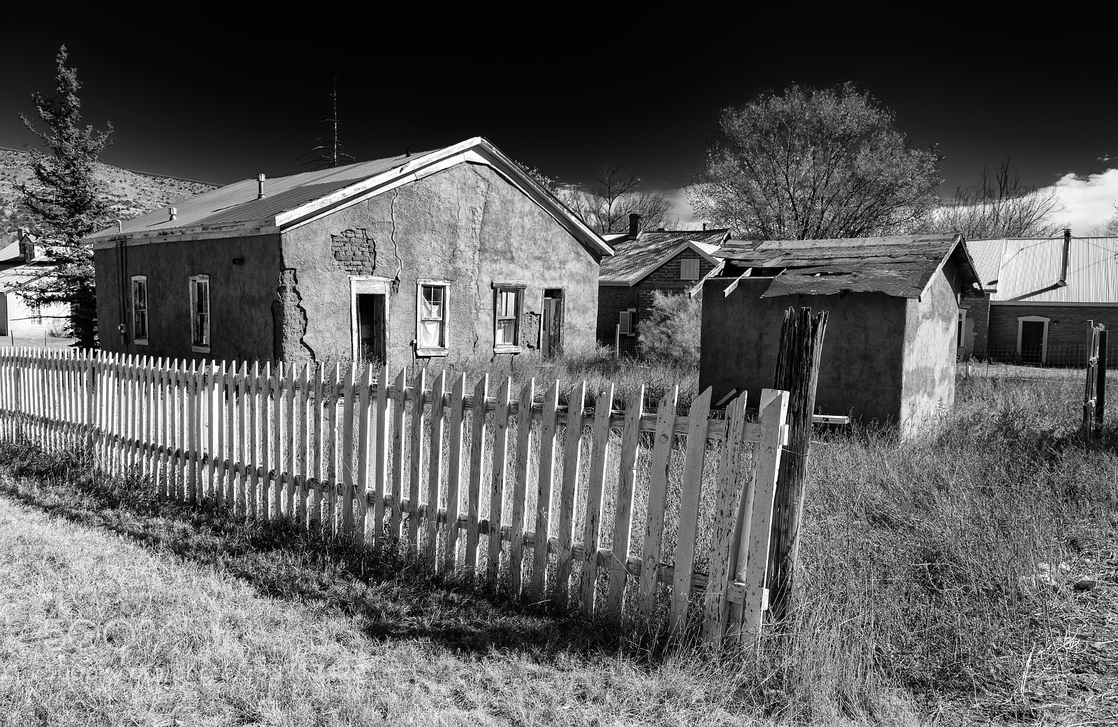 Canon EOS 5D Mark IV sample photo. Lincoln photography