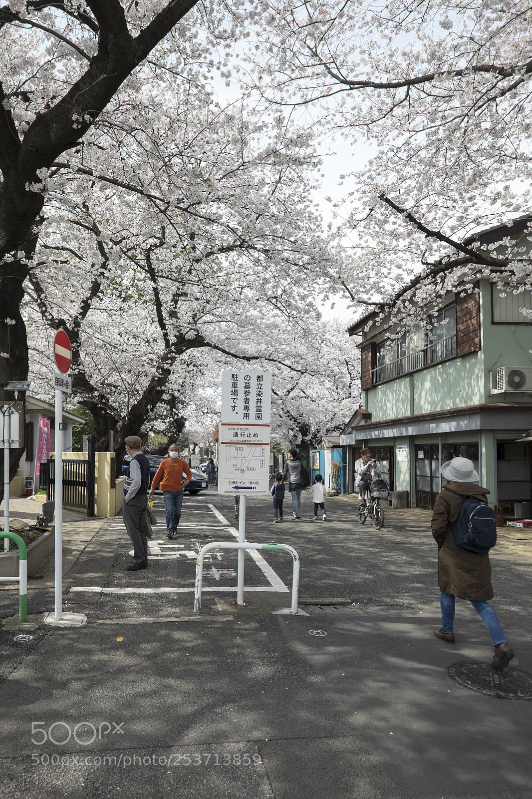 Fujifilm X-T1 sample photo. Tokyo.豊島区駒込　染井のさくら photography