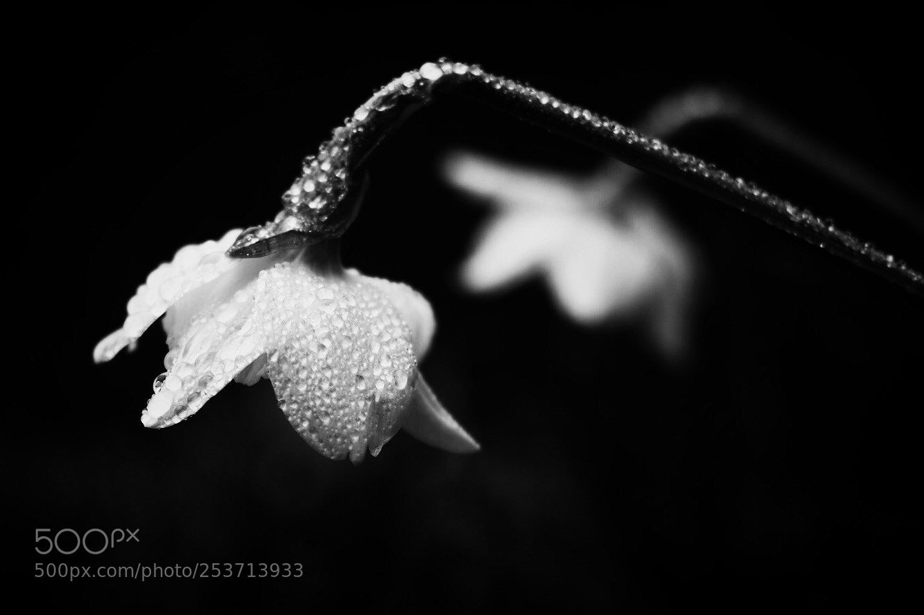 Fujifilm X-T2 sample photo. Untitled photography