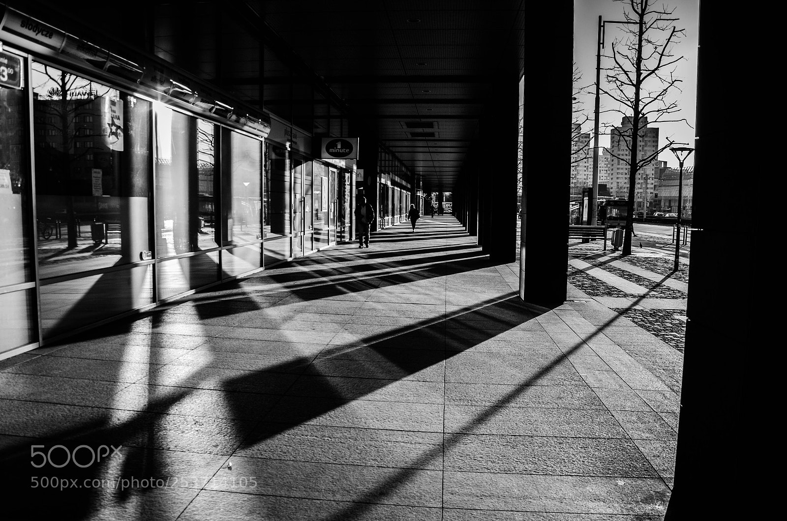 Nikon D7000 sample photo. Long shadows photography