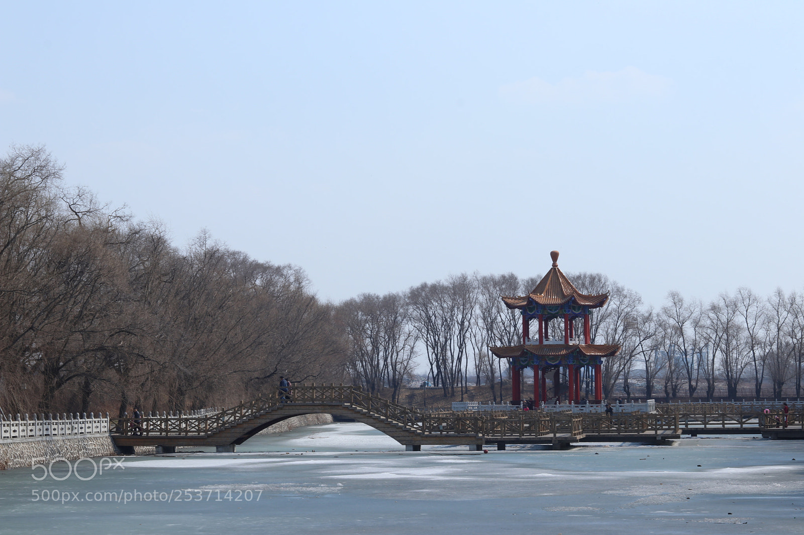 Canon EOS 80D + Canon EF 50mm F1.8 STM sample photo. Untitled photography