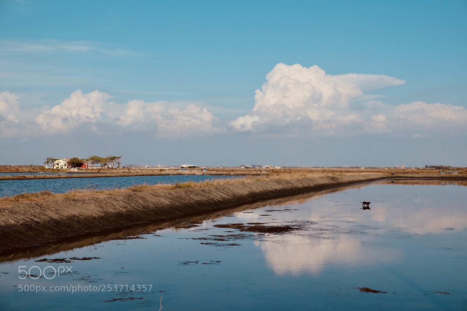 Fujifilm X-T1 sample photo. Cdeco photography