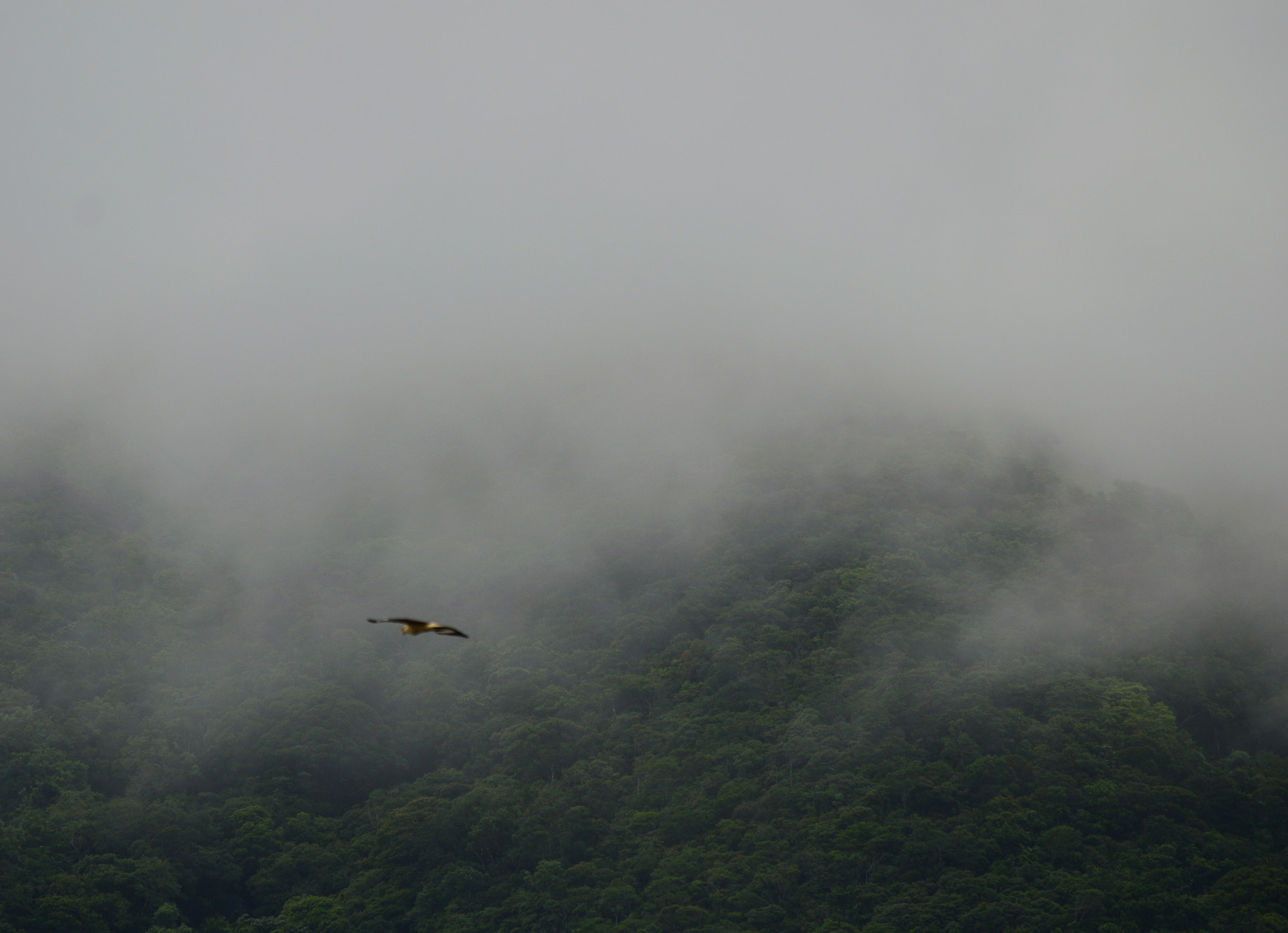 Nikon D5300 sample photo. Flying on mountain photography