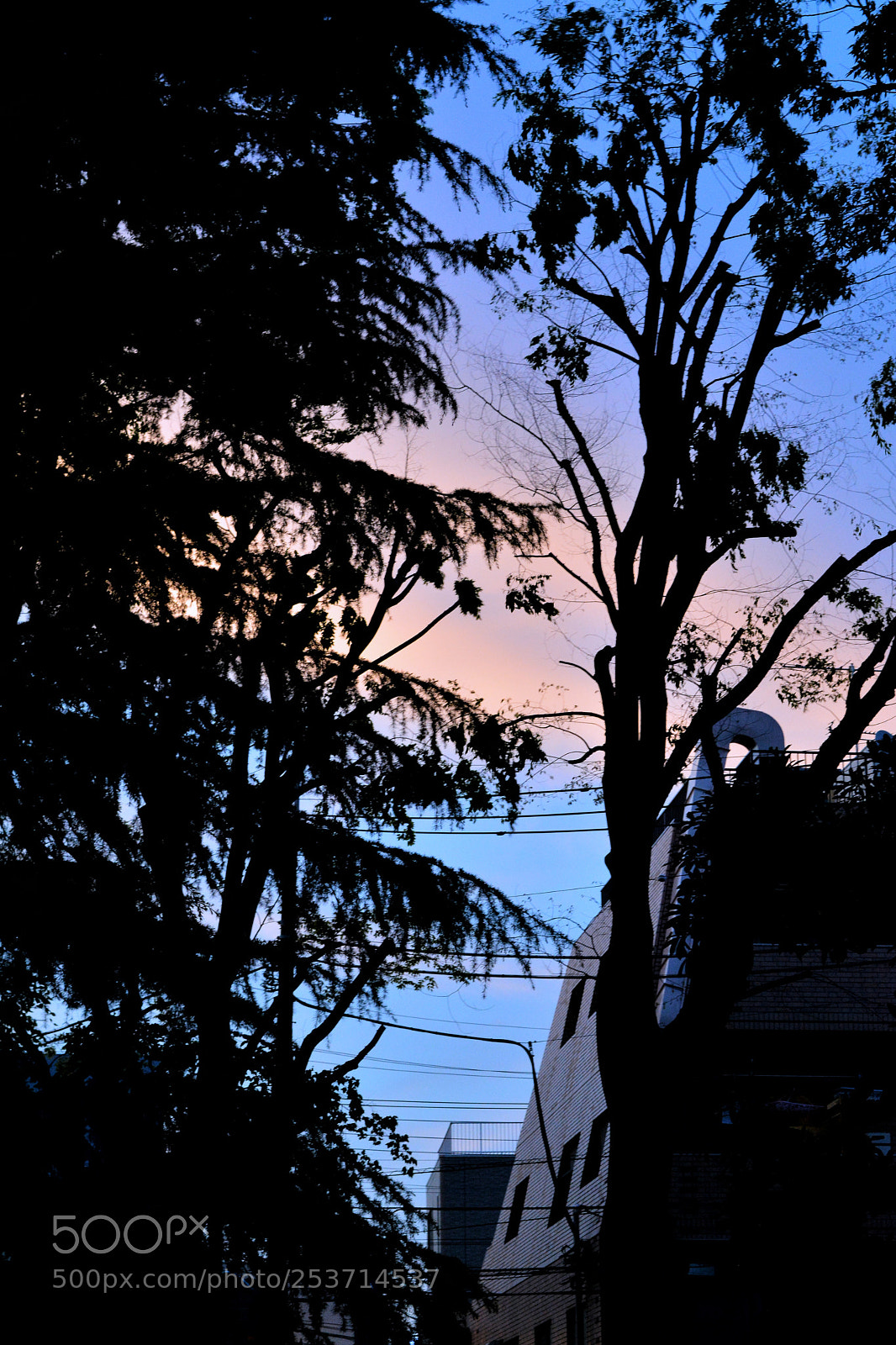 Nikon D7100 sample photo. Sky photography
