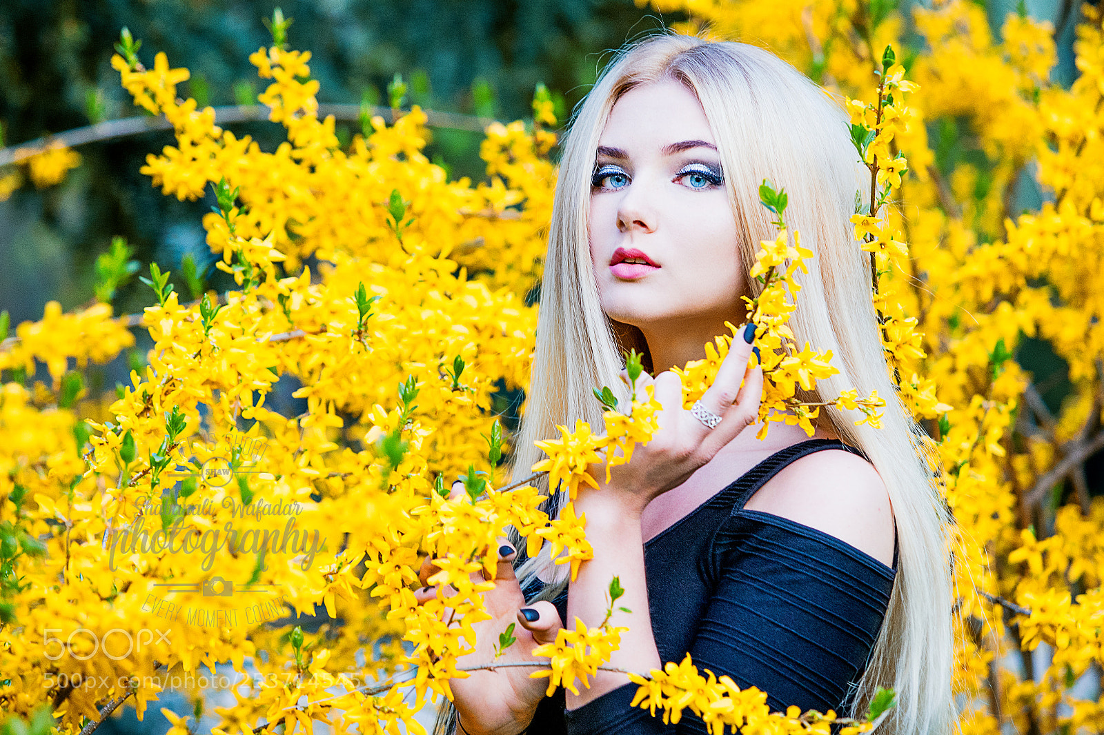 Canon EOS 6D Mark II sample photo. Photo by shabanali wafadar photography