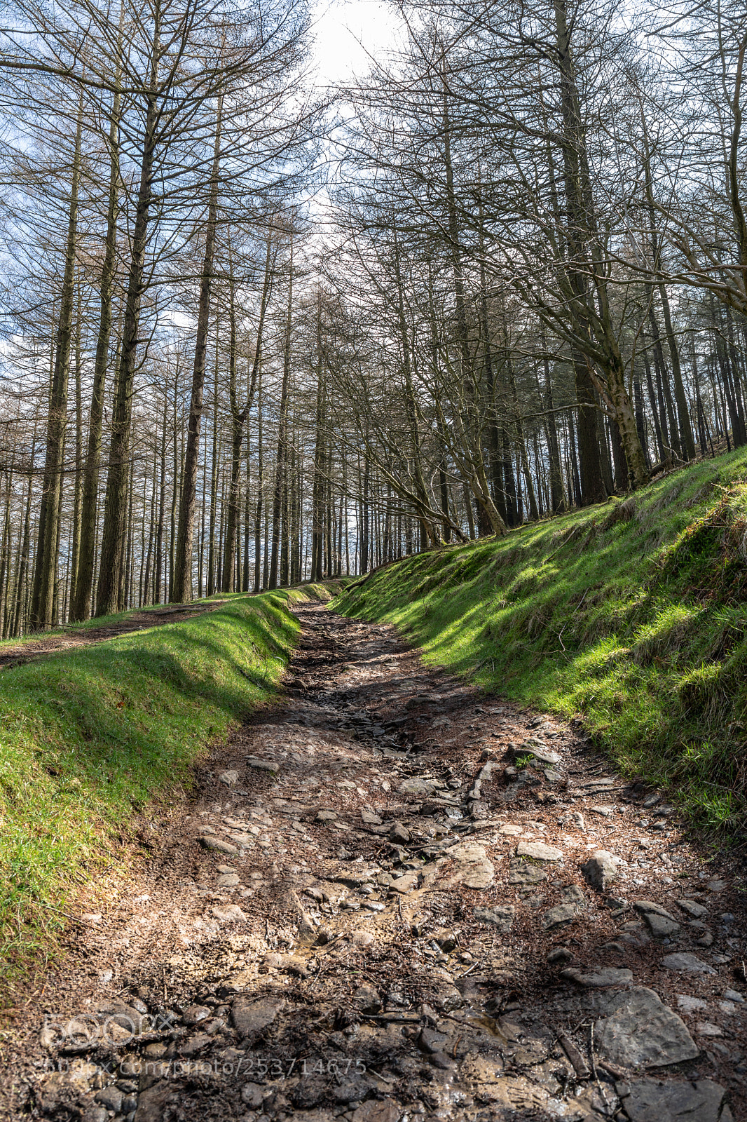 Canon EOS 5D Mark IV sample photo. The road to adventure photography