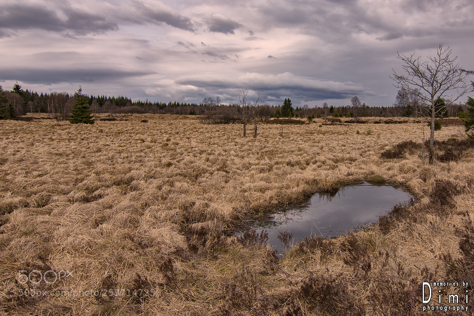 Nikon D7200 sample photo. On the hills photography
